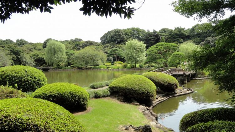 miscellaneous-park-lake-scenery-tokyo-nature-garden-shinjuku-farden-japanese-japan-desktop-backgrounds-1366x768.jpg
